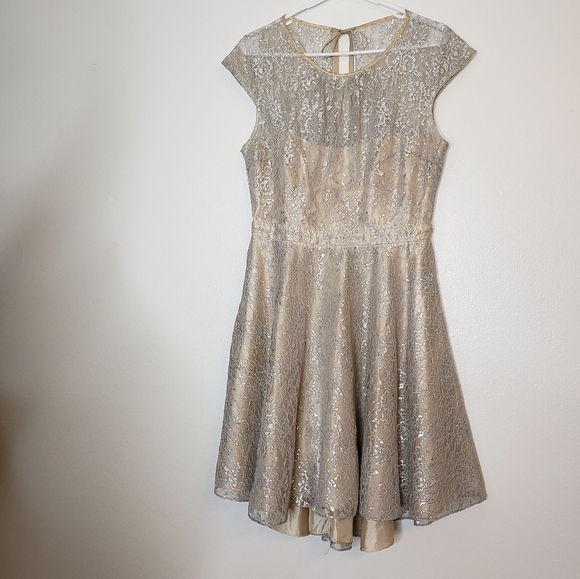 NEW RARE Slate & Willow Champagne Illusion Neckline Glistening Lace Spin Dress - Picture 4 of 16